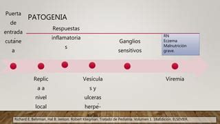 Herpes Genital EN PEDIATRIA PPT