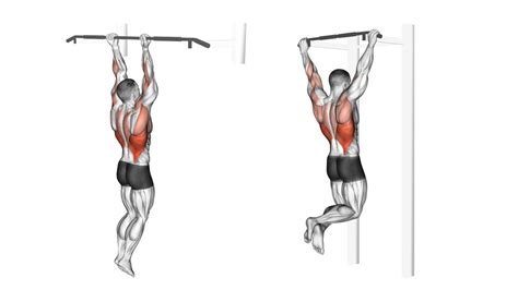 6 Best Vertical Pull Exercises (with Pictures!) - Inspire US