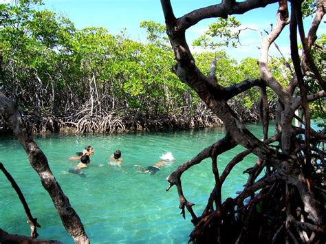 Top 13 Maravillas Naturales De Puerto Rico Fotos Una Isla Con Recursos Naturales Cual Si