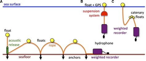 Frontiers The Effects Of Ship Noise On Marine Mammals—a Review