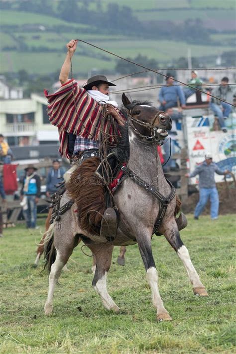 Cowboy Andino A Cavallo Che Getta Lazo Fotografia Editoriale Immagine