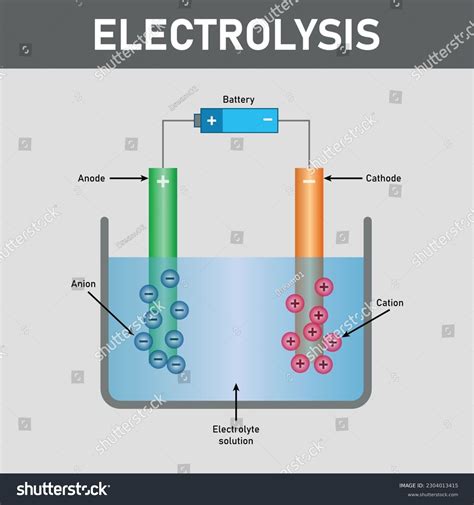 Electrolysis Water Diagram Battery Anode Cathode Stock Vector Royalty Free 2304013415