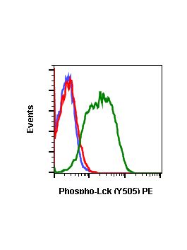 Phospho Lck Y Recombinant Mab Abwiz Bio