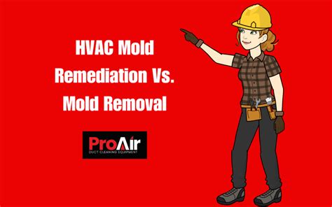 Hvac Mold Remediation Vs Mold Removal Proair Industries Inc