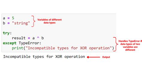 Python XOR Operator User Guide Master Data Skills AI