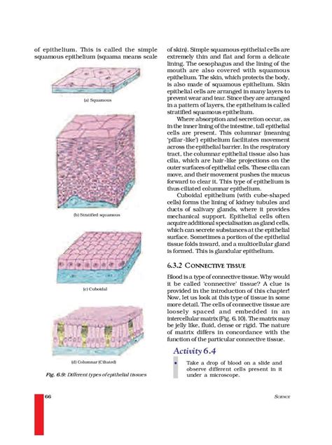 Ncert Book Class 9 Science Chapter 6 Tissues 2024 25 Session