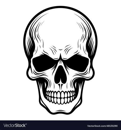 Skull Silhouette Royalty Free Vector Image Vectorstock