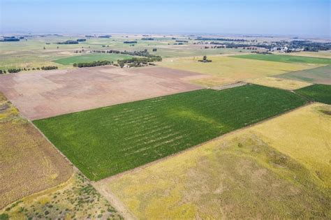 Campos De Cultivo En La Regi N Pampeana Argentina Foto Premium