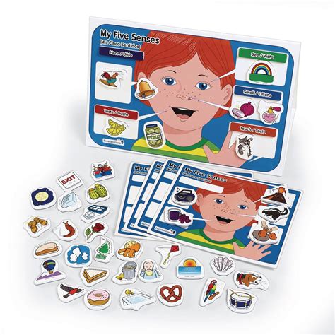 Excellerations My 5 Senses Magnetic Activity Set 12x 18 Inches Pack