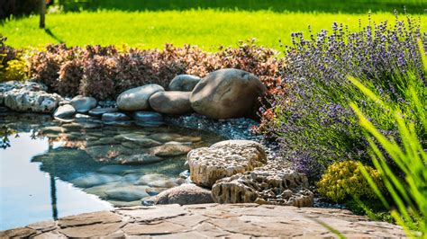 Garten Gartenteich In 5 Schritten Anlegen Genialetricks