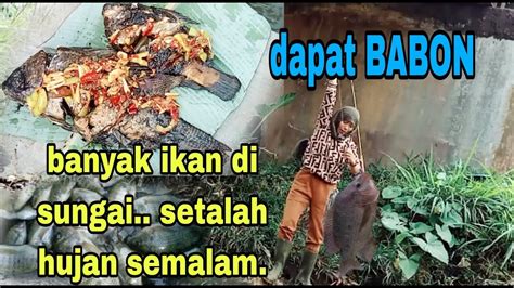 Mukbang Ikan Bakar Hasil Mancing Sigondrongeror Youtube