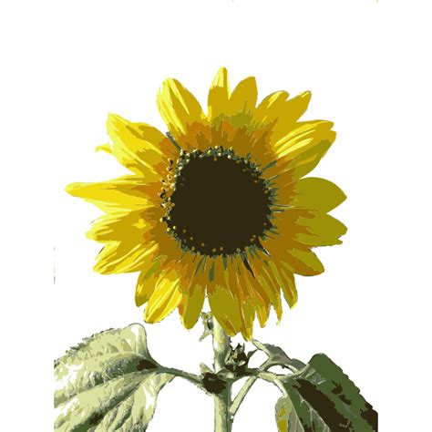 Top 67 Imagen Girasol Png Dibujo Abzlocal Mx