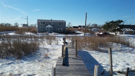 The Natural World of Mastic Beach