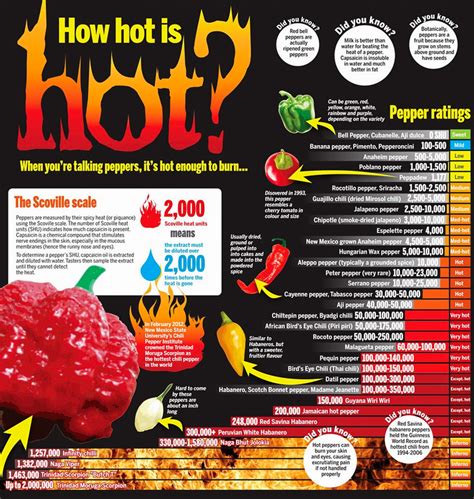 The Scoville Scale Courtesy Of The Hot Sauce Kiosk 21100 Hot Sex Picture