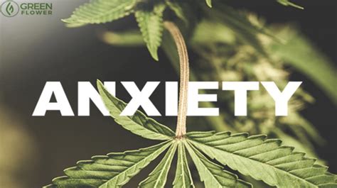 Anxiety and Marijuana: Does Marijuana Help with Anxiety?