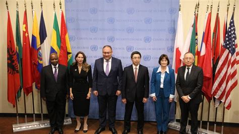 Unsc Welcomes Five New Elected Members Assuming Responsibilities