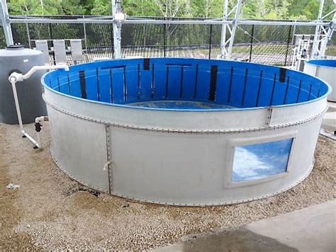 Dolphin Fiberglass Products Inc Tanks Ponds Aquariums Aquaculture