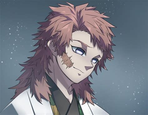 Pin By Jourhana Vương On Kimetsu No Yaiba Slayer Anime Sabito Demon