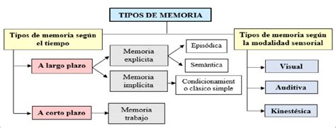 Organigrama Sobre Los Tipos De Memoria Download Scientific Diagram