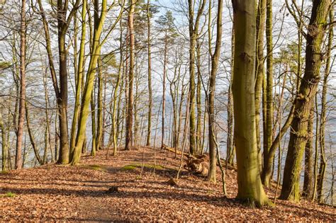 Trasa Piesza Gdynia Sopot Przez Klify Traseo