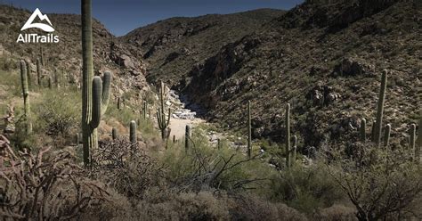 10 Best Hikes And Trails In Coronado National Forest Alltrails