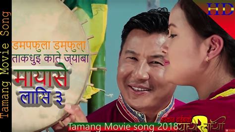 NEW TAMANG MOVIE MAYASE LASI 3 SONG DAMFULA TAKDHUI KATE JYABA FT