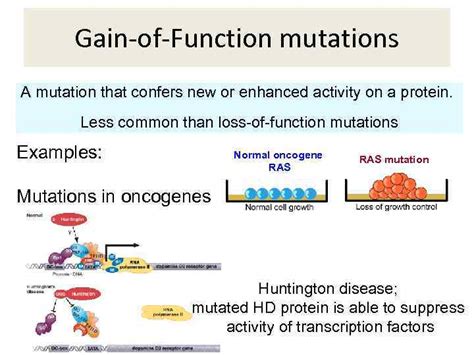 Mutations And Their Consequences Mutation Definition