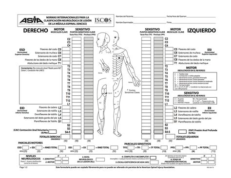 Clasificacion Asia Lesion Medular Rehabilitacion Studocu