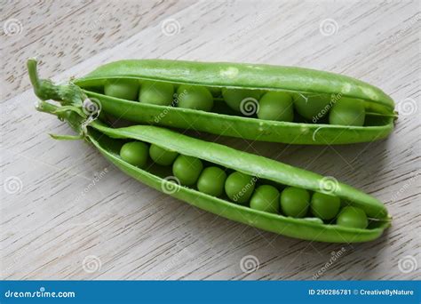 Two Fresh Garden Pea Pods Pisum Sativum Stock Image Image Of Fruit