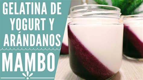 Gelatina De Yogurt Y Ar Ndanos En Mambo Con O Sin Az Car Recetas