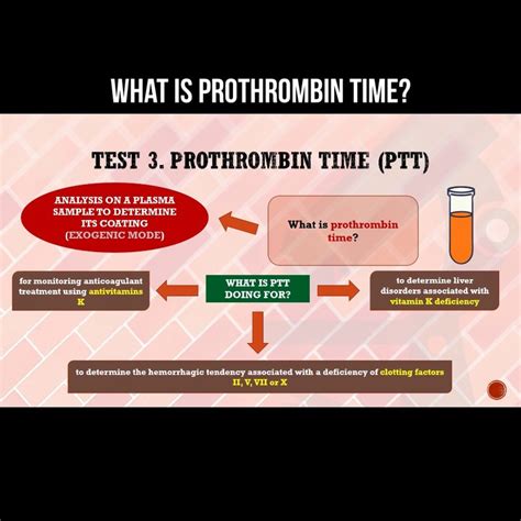 What Is Prothrombin Time Video Dailymotion