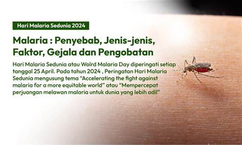 Charitas Group Malaria Penyebab Jenis Jenis Faktor Gejala Dan