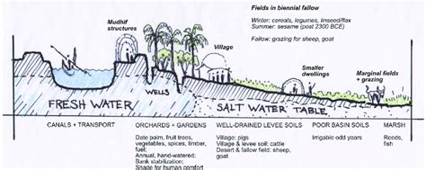 3 Mesopotamian Canal And Levee Section Drawn By P Ostovar And Adapted Download Scientific