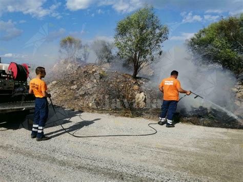 Incendio A Caulonia Marina Al Lavoro I Volontari Della Protezione