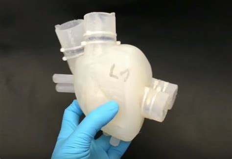 Researchers D Print A Soft Artificial Heart That Works A Lot Like A