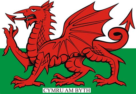 Welsh Dragon Drawing At Getdrawings Free Download
