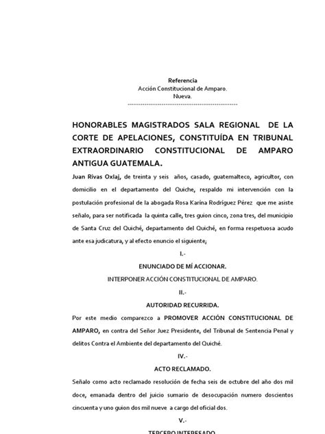 Modelo De Amparo Pdf Constitución Ley Procesal