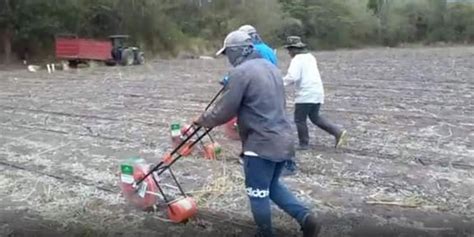 Donan sembradoras manuales para maíz y frijol a SAG DICTA Diario La