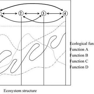 Graphic representation of the structure– function model (Bradshaw, 1984) | Download Scientific ...