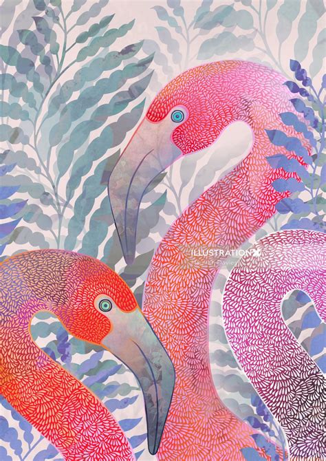 Animals And Decorative Illustration By Hannah Davies