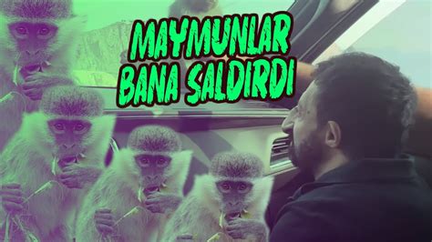 MAYMUNLAR BANA SALDIRDI - YouTube