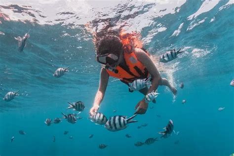 Semporna Snorkeling Diving Day Tour Mabul Kapalai Island