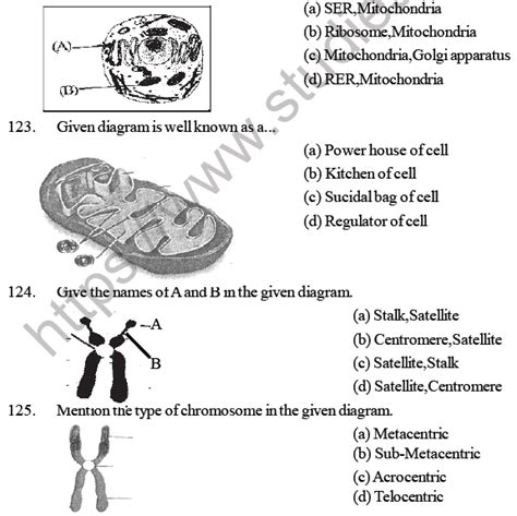 Neet Biology Cell Structure And Function Mcqs Set A Multiple Choice