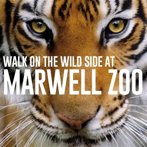 Marwell Zoo - Royston Smith - At the heart of Southampton