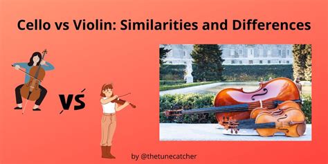 Cello vs Violin: What are the Similarities and Differences? – The Tune ...