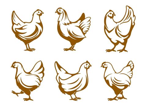 Hen Icons Chicken Farm And Poultry Meat Symbols 14636503 Vector Art At