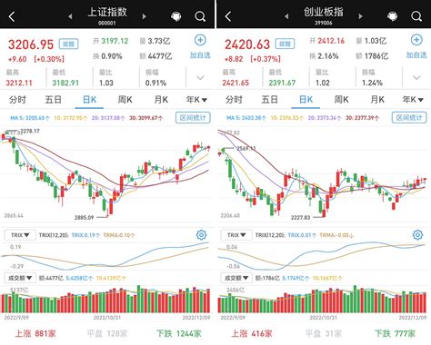 午后走高：a股三大指数成功收涨，检测概念股集体大涨牛市点线面澎湃新闻 The Paper