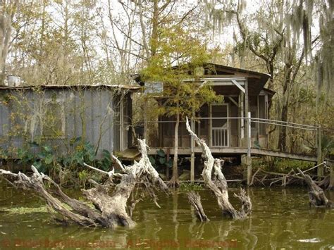 Came Across A Old Hunting Camp In The Henderson Swamp 5142016