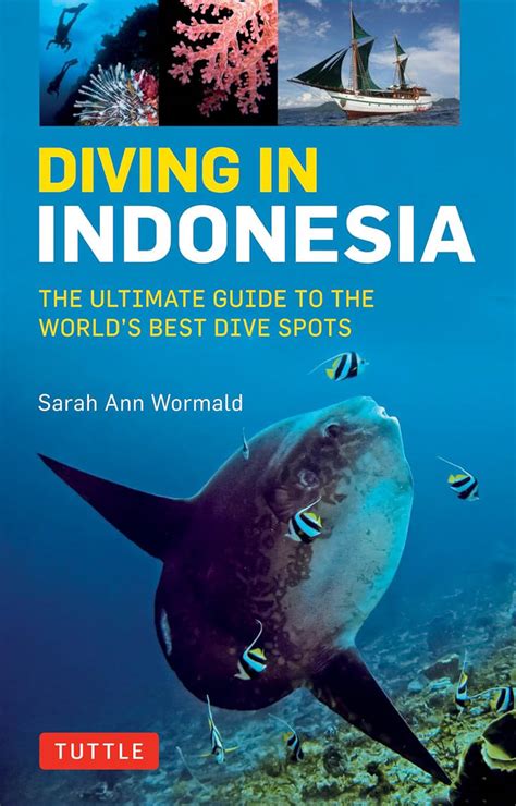 Diving In Indonesia The Ultimate Guide To The Worlds Best Dive Spots