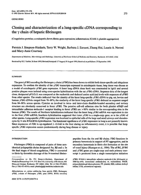 Cloning-and-characterization-of-a-lung-specific-c DNA-corresponding-t